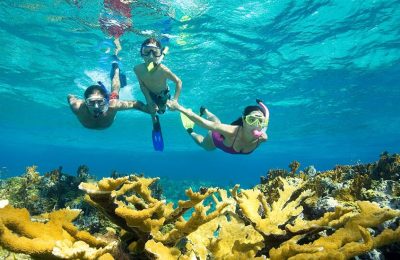hero-snorkeling-cruises