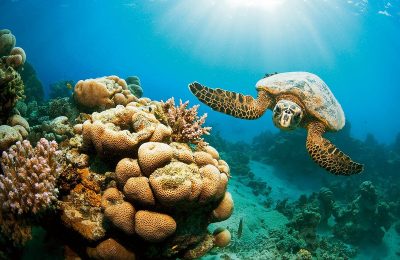 marsa_alam_1